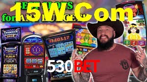 530bet App Interface